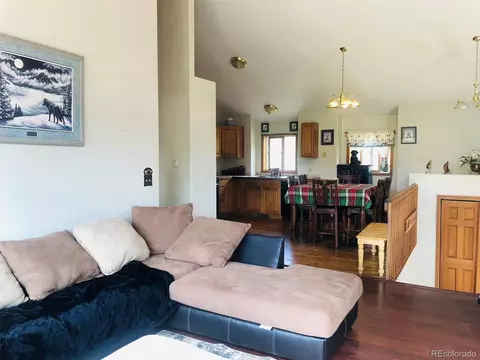 707 S Pine Dr, Bailey, CO 80421 photo 13