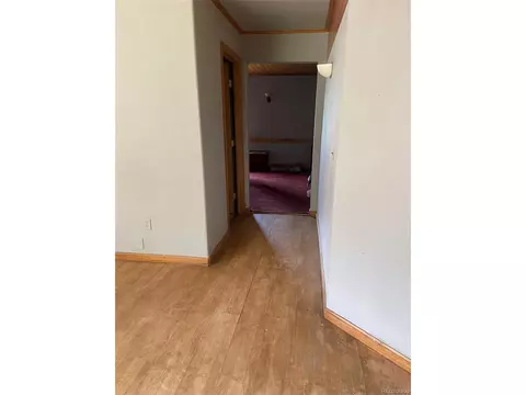 707 S Pine Dr, Bailey, CO 80421 photo 32
