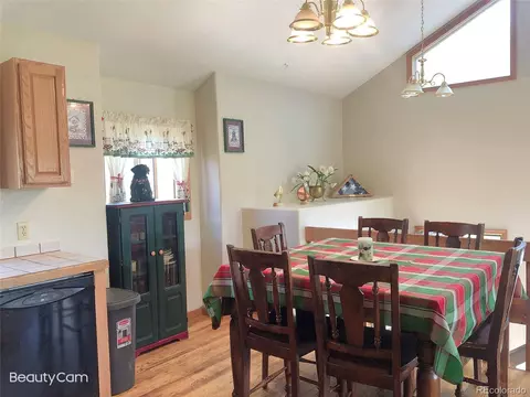 707 S Pine Dr, Bailey, CO 80421 photo 15