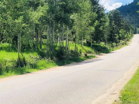 707 S Pine Dr, Bailey, CO 80421 photo 38