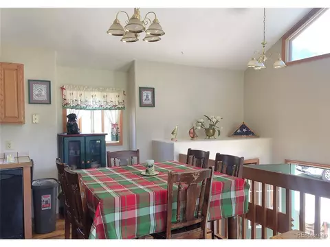 707 S Pine Dr, Bailey, CO 80421 photo 17
