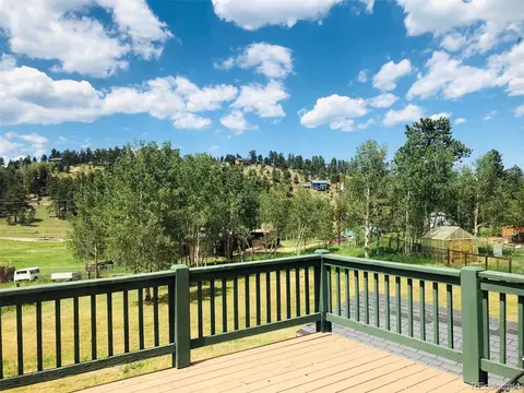 707 S Pine Dr, Bailey, CO 80421 photo 28