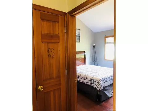 707 S Pine Dr, Bailey, CO 80421 photo 21