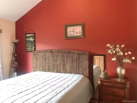 707 S Pine Dr, Bailey, CO 80421 photo 20