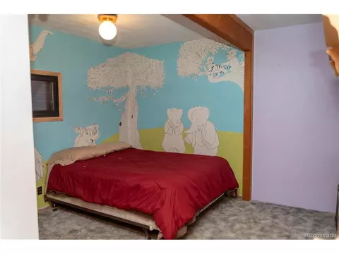 407 S Loma St, Creede, CO 81130 photo 15