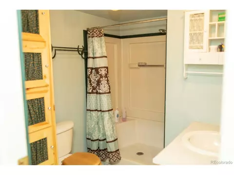 407 S Loma St, Creede, CO 81130 photo 22