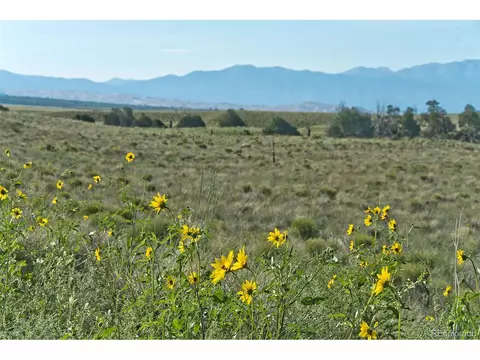 263 Rainbow Trout Rd, Crestone, CO 81131 photo 3