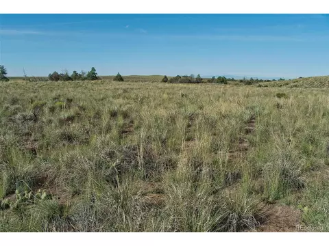 263 Rainbow Trout Rd, Crestone, CO 81131 photo 7
