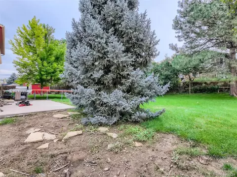 6772 Beech Ct, Arvada, CO 80004 photo 20