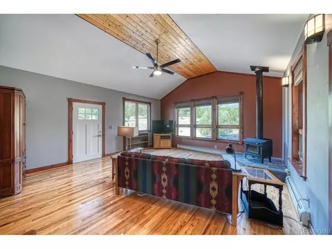 Living - 426 Leprechaun Ln, Howard, CO 81233 photo 4 of 4