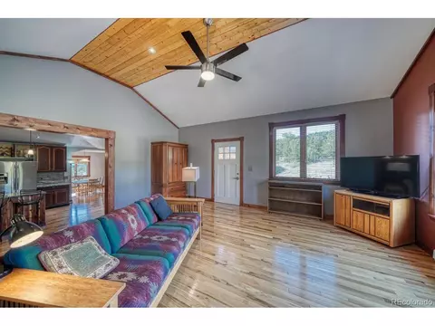 Living - 426 Leprechaun Ln, Howard, CO 81233 photo 3 of 4