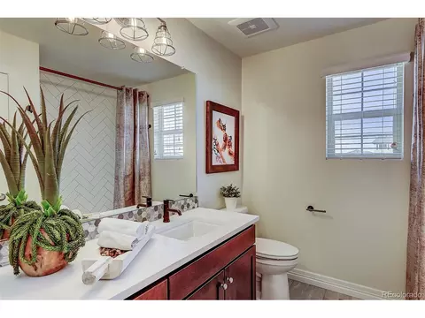 16262 E 111th Dr, Commerce City, CO 80022 photo 9