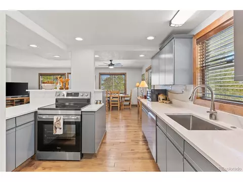 1606 Bobcat Ln, Fairplay, CO 80440