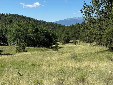 536 Nightshade Dr, Westcliffe, CO 81252