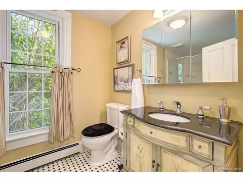 429 Locust St, Windsor, CO 80550 photo 15