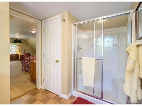429 Locust St, Windsor, CO 80550 photo 21