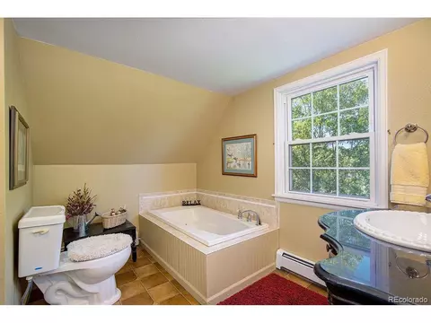 429 Locust St, Windsor, CO 80550 photo 19
