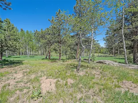 10872 Emerald Ln, Conifer, CO 80433 photo 35