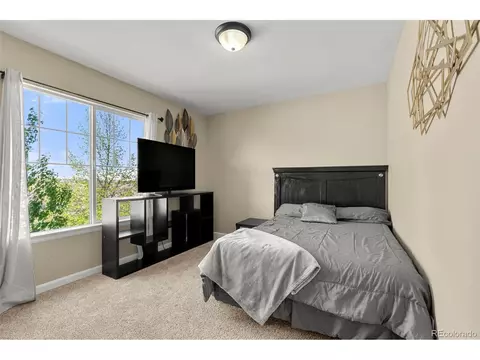 22 Apache Plume St, Brighton, CO 80601 photo 16