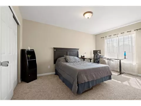 22 Apache Plume St, Brighton, CO 80601 photo 17