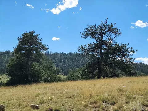 891 Cherokee Trl, Hartsel, CO 80449