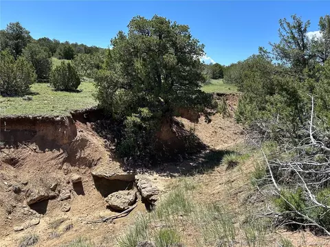 20 River Ridge Ranch Phs 1, Walsenburg, CO 81089 photo 11