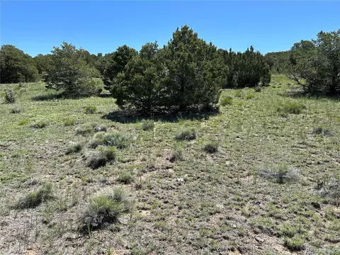 20 River Ridge Ranch Phs 1, Walsenburg, CO 81089 photo 5