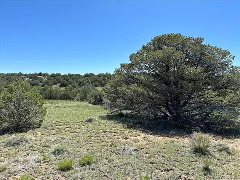 20 River Ridge Ranch Phs 1, Walsenburg, CO 81089 photo 9