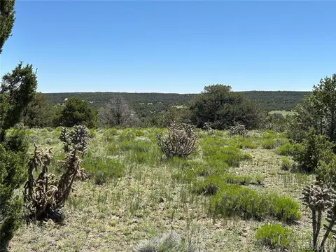 20 River Ridge Ranch Phs 1, Walsenburg, CO 81089 photo 10