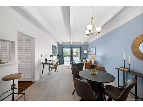 551 N Pearl St #207, Denver, CO 80203
