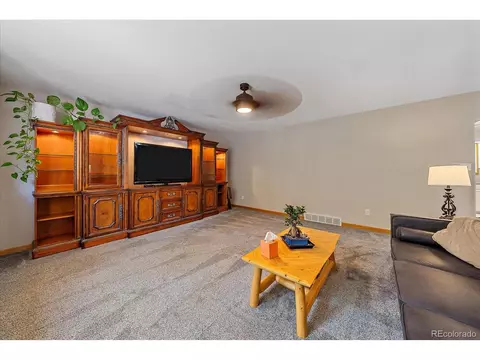 9730 S Warhawk Rd, Conifer, CO 80433 photo 8