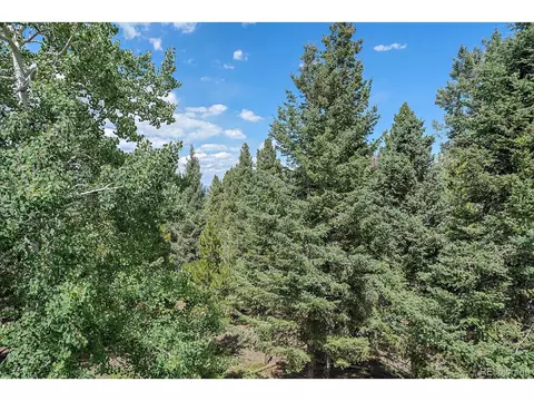 9730 S Warhawk Rd, Conifer, CO 80433 photo 40