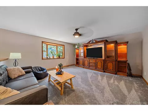 9730 S Warhawk Rd, Conifer, CO 80433 photo 7