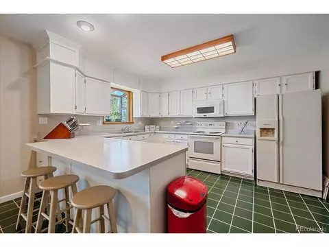9730 S Warhawk Rd, Conifer, CO 80433 photo 11