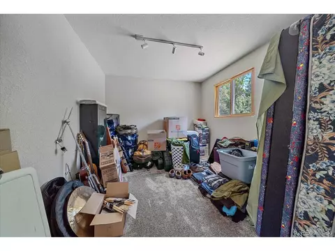 9730 S Warhawk Rd, Conifer, CO 80433 photo 30