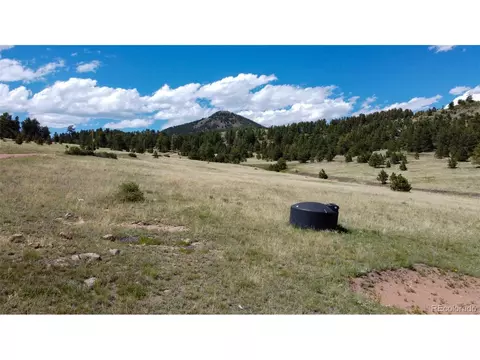 549 Penrose Cir, Cripple Creek, CO 80813