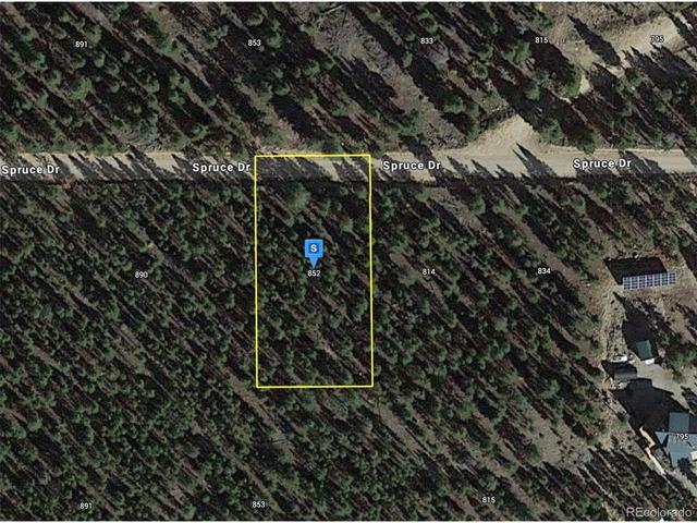 852 Spruce Dr, Twin Lakes, CO 81251