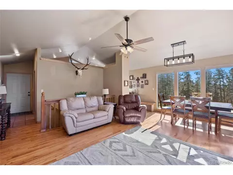 278 Hayes St, Bailey, CO 80421 photo 13