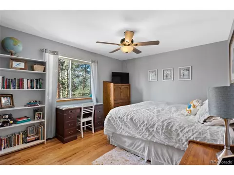 278 Hayes St, Bailey, CO 80421 photo 17