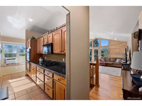 278 Hayes St, Bailey, CO 80421 photo 5
