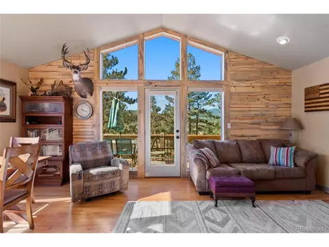 278 Hayes St, Bailey, CO 80421 photo 10