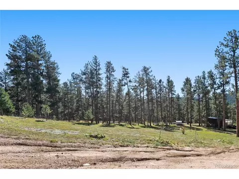 278 Hayes St, Bailey, CO 80421 photo 36