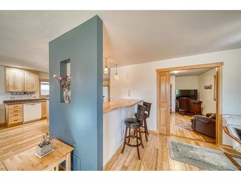 1138 E St, Salida, CO 81201 photo 10