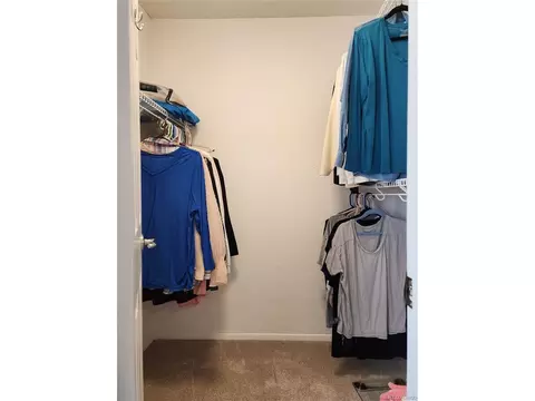 8660 Carr Loop, Arvada, CO 80005 photo 17