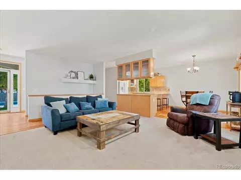 1116 Summit Ct, Windsor, CO 80550 photo 11