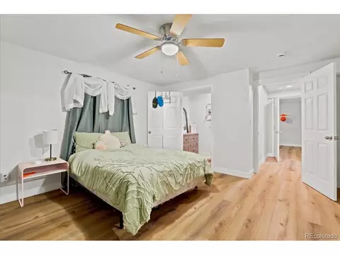 1116 Summit Ct, Windsor, CO 80550 photo 24