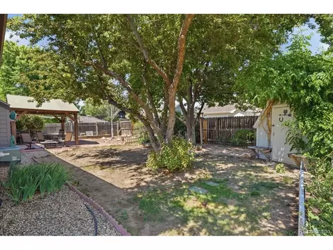 1116 Summit Ct, Windsor, CO 80550 photo 34