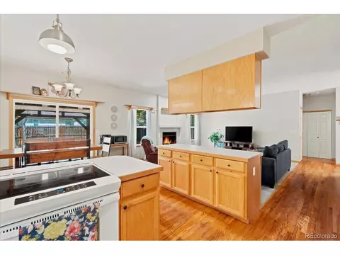1116 Summit Ct, Windsor, CO 80550 photo 15