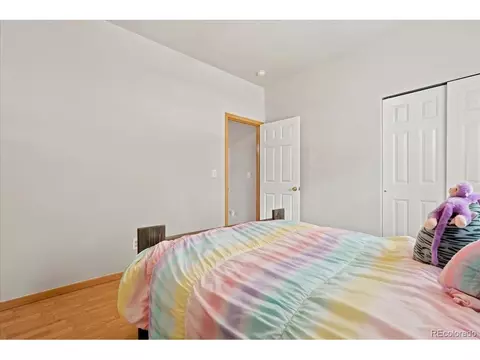 1116 Summit Ct, Windsor, CO 80550 photo 19