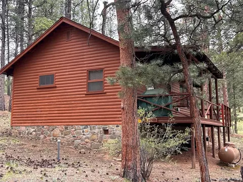 Exterior - 861 Happy Top Trl, Bailey, CO 80421 photo 7 of 12